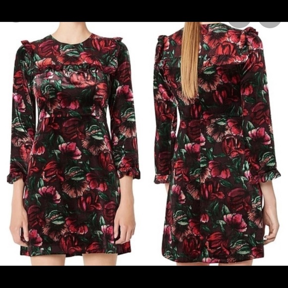 Sandro - Tolerance Floral Velvet Ruffle Dress - Picture 5 of 9